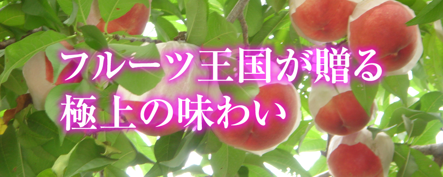 �t�@�~���[�_�ꂳ��